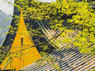 灵隐寺，古韵新风，别样画风