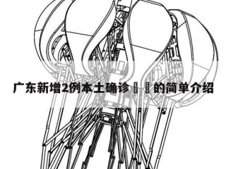广东新增2例本土确诊㊙️的简单介绍