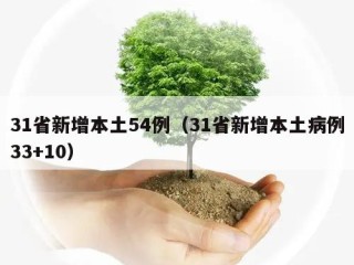 31省新增本土54例（31省新增本土病例33+10）