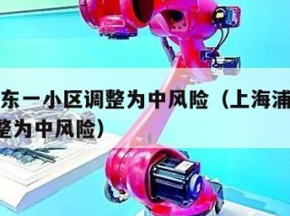 上海浦东一小区调整为中风险（上海浦东新区1地调整为中风险）