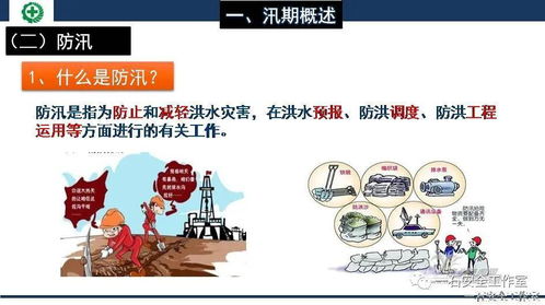 汛期知识全解析,如何科学避险保障安全 汛期知识全解析,如何科学避险保障安全
